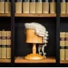 Legal Work Experience Student