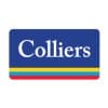 Office Leasing - Team Assistant