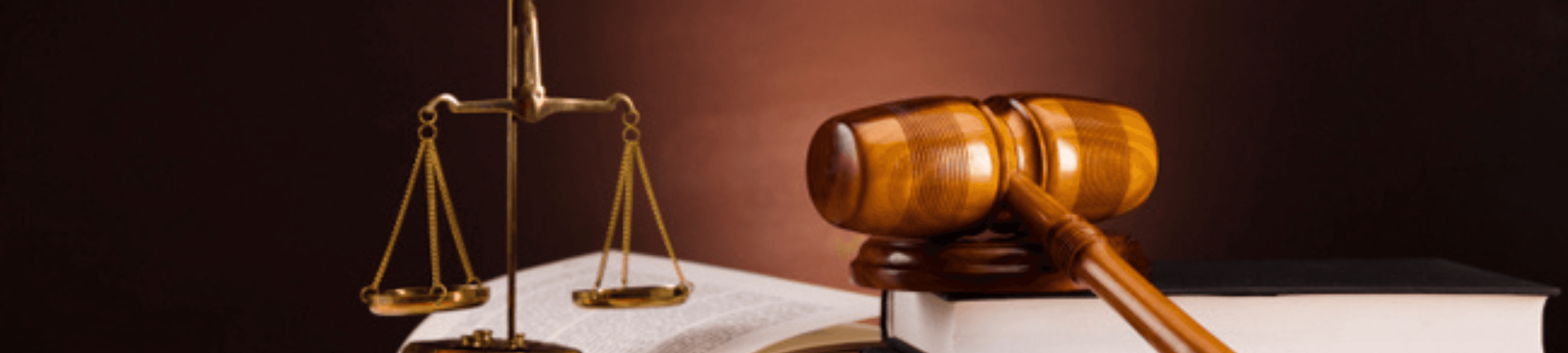 Jenny Morrow Legal cover