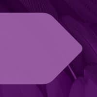 Senior Associate