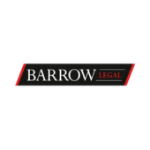 Project Lawyer