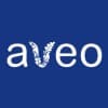 Senior Lawyer